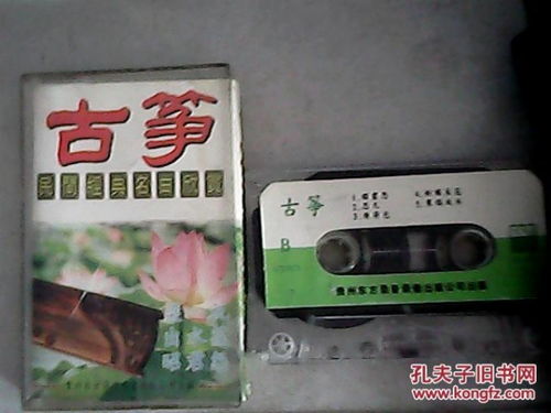唱片與通訊音像 從文化生活到收藏雜項的復(fù)調(diào)敘事